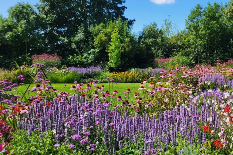 Landelijketuin Ruurlo